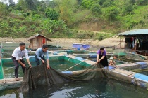 Nhìn lại 6 năm thực hiện Nghị quyết 76 của Quốc hội về thực hiện mục tiêu giảm nghèo bền vững ở Sơn La