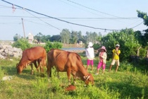 Hà Nam đẩy mạnh công tác phòng ngừa, giảm thiểu lao động trẻ em