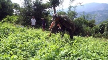 Huyện Nam Trà My: Chú trọng lồng ghép các nguồn lực từ chương trình, dự án để giảm nghèo bền vững