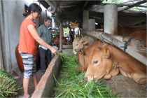 Vĩnh Long: Triển khai thực hiện tốt các chính sách an sinh xã hội