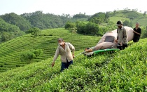 Yên Bái triển khai thực hiện phong trào thi đua vì người nghèo thiết thực, hiệu quả