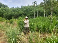 Huyện Nam Đông: Những tấm gương thương binh tàn nhưng không phế