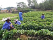 Trung tâm Bảo trợ xã hội tỉnh Thừa Thiên Huế: Đảm bảo vệ sinh môi trường, nâng cao chất lượng phục vụ