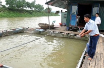 Nam Định: Một số khó khăn trong công tác đào tạo nghề cho lao động nông thôn, người nghèo, lao động có thu nhập thấp 