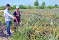 Tây Ninh tập trung thực hiện công tác lao động, người có công và xã hội 