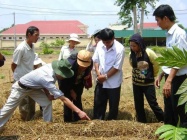 Nâng cao chất lượng đào tạo nghề tạo việc làm và thu nhập ổn định cho người lao động