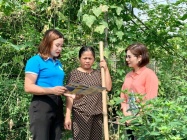 Phát triển BHXH tự nguyện: Nhiều mô hình thiết thực,  tạo “điểm tựa” an sinh vững chắc cho người lao động tự do 