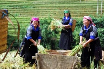 Vietnam successful in reducing multidimensional poverty: UNDP