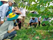 Long An: Đẩy mạnh công tác đào tạo nghề cho lao động nông thôn 	