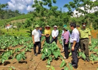 Nghệ An tập trung nguồn lực thực hiện Chương trình mục tiêu quốc gia giảm nghèo bền vững