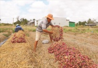 Vĩnh Châu: Phát huy hiệu quả tuyền thông trong công tác giảm nghèo