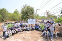 Hành trình 2024: TCP Việt Nam và dấu ấn vì cộng đồng  