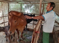 Trà Vinh: Đẩy mạnh truyền thông và giảm nghèo về thông tin