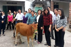 Huyện Đầm Hà triển khai hiệu quả các chính sách giảm nghèo bền vững