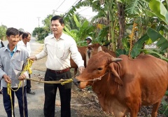 Hiệu quả công tác giảm nghèo bền vững ở huyện Tân Trụ (Long An)