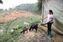 Phú Thọ phát huy vai trò của phụ nữ trong công tác giảm nghèo