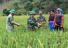 Lai Châu hoàn thành việc hỗ trợ gạo đến các hộ bị đói giáp hạt