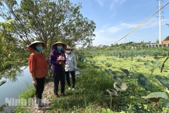 Thành phố Ninh Bình: Chăm sóc và phát huy vai trò của người cao tuổi