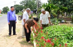 Huyện Văn Lâm (Hưng Yên): Phát huy vai trò người cao tuổi trong xây dựng nông thôn mới nâng cao, nông thôn mới kiểu mẫu