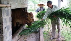 Quảng Bình: Rà soát hộ nghèo, định hướng giảm nghèo bền vững