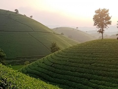 Tân Sơn: Triển khai nhiều giải pháp giảm nghèo