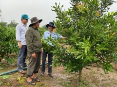 Kon Tum: Hỗ trợ việc làm bền vững góp phần giúp người dân thoát nghèo