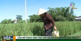 Cần mở rộng diện trợ cấp xã hội cho người cao tuổi