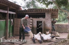 Chăm lo cho gia đình thương binh, liệt sỹ - Những kết quả đáng mừng ở Lào Cai