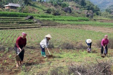 Tìm giải pháp cải thiện hơn 4 triệu ha đất sản xuất nông nghiệp bị thoái hóa