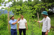 Lai Châu: Triển khai hiệu quả các chính sách, chương trình giảm nghèo, tạo sinh kế giúp người dân thoát nghèo bền vững