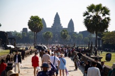 Khỉ tấn công khách du lịch tại Angkor Wat, Campuchia