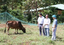 Kon Tum thực hiện hiệu quả các dự án hỗ trợ người dân huyện nghèo 