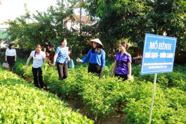 Vĩnh Phúc: Hỗ trợ phụ nữ phát triển kinh tế, giảm nghèo bền vững