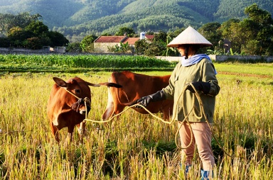 Hoành Bồ phấn đấu giảm nghèo bền vững