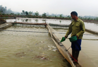 Gương sáng Cựu chiến binh Thủ Đô