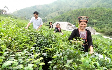 Xã Bằng Cốc (huyện Hàm Yên): Thay đổi nhận thức về giới trong đồng bào dân tộc thiểu số