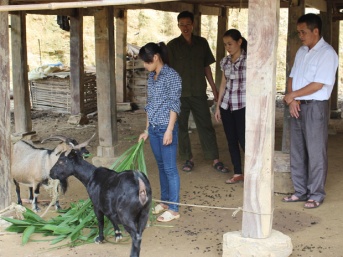 Hà Giang: Chung tay hỗ trợ nạn nhân bị mua bán trở về