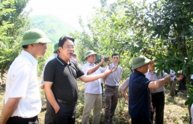 Lai Châu thực hiện hiệu quả công tác giảm nghèo bền vững