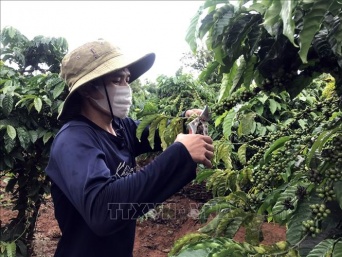 Ngành Lao động - Thương binh và Xã hội tỉnh Kon Tum hoàn thành tốt nhiêm vụ trong bối cảnh dịch bệnh Covid-19