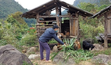 Huyện Phong Thổ (Lai Châu): Nhiều khó khăn trong triển khai Chương trình mục tiêu quốc gia giảm nghèo bền vững