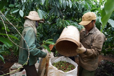 Đắk Lắk: Tình hình quan hệ lao động trên địa bàn cơ bản ổn định