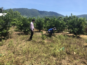 Nam Đông: Phát huy vai trò già làng, trưởng bản trong công tác giảm nghèo