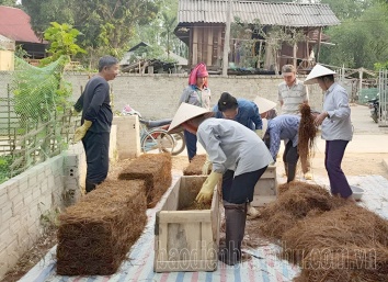 Ngành Lao động – Thương binh và Xã hội Điện Biên chủ động triển khai nhiệm vụ trong những tháng đầu năm 2024