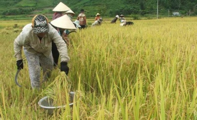 Ưu tiên vốn cho vùng miền núi, hướng giảm nghèo bền vững ở Phú Yên 