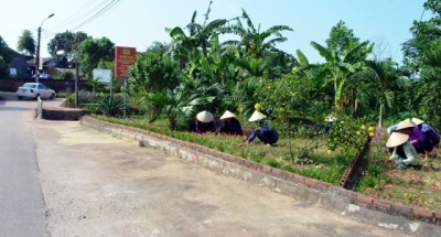 Quảng Ninh: Phát huy vài trò “Tuổi cao – gương sáng”