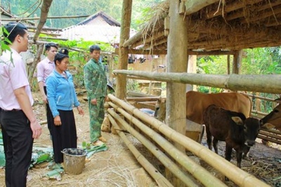 Hiệu quả chính sách giảm nghèo ở Thuận Châu (Sơn La)