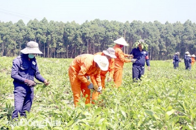 Xây dựng môi trường sống thân thiện cho học viên ở Cơ sở điều trị cai nghiện ma tuý Đồng Nai