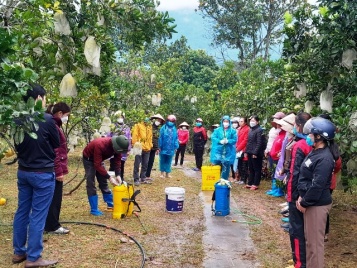 Huyện Sơn Động: Tạo sinh kế bền vững cho người nghèo