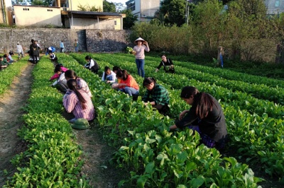 Trường Trung cấp nghề Dân tộc nội trú Nghĩa Lộ: Không gian xanh ở núi rừng Tây Bắc