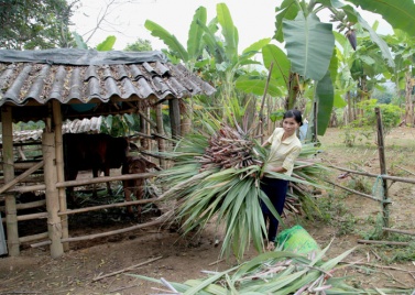 Lai Châu đẩy mạnh công tác hỗ trợ nhà ở cho hộ nghèo, hộ cận nghèo theo Chương trình mục tiêu quốc gia